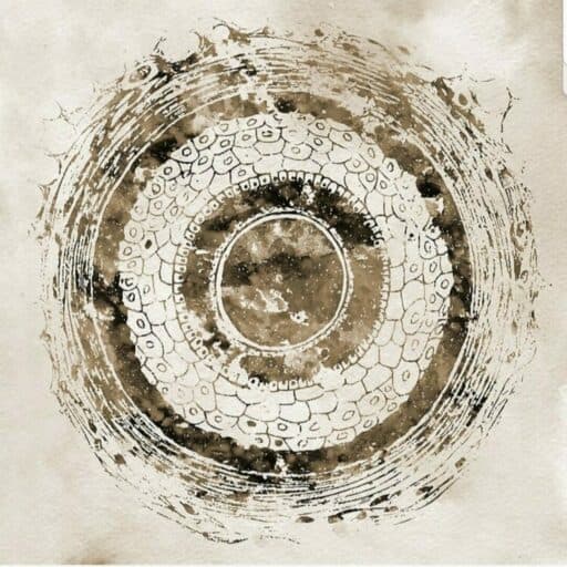 Portrait de Denaux Garcia, praticienne coiffure énergétique à Alès